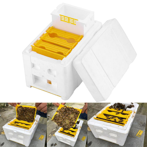 Beekeeping King Box Pollination Box Foam Frames beekeeping equipment Kit Harvest bee hive box for Garden pollinator beekeeping