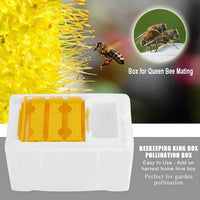 Beekeeping King Box Pollination Box Foam Frames beekeeping equipment Kit Harvest bee hive box for Garden pollinator beekeeping
