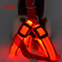 Dog Harness LED Flashing Collar Light Pet Dog Collar Luminous Leash for Dogs Rope Belt Dog Harness Vest Puppies Harness no Pull